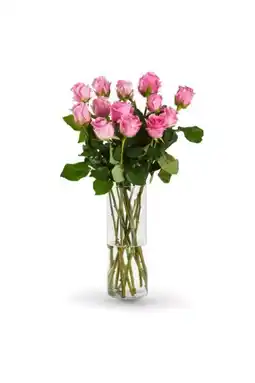 Kaufland Rosenstrauß Fairtrade Angebot