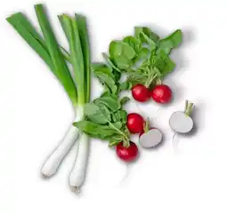 Kaufland Radieschen Angebot