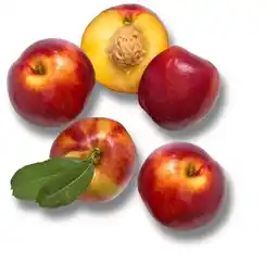 Kaufland SanLucar Nektarinen Platerinas Angebot