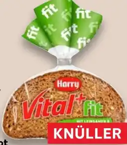 Kaufland Harry Brot Vital + Fit Mehrkornbrot Angebot