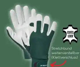 Kaufland Parkside Gartenhandschuhe Angebot