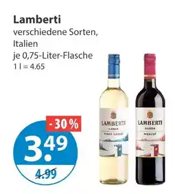 V Markt Lamberti pinot grigio Angebot