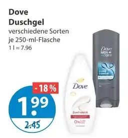 V Markt Dove duschgel Angebot