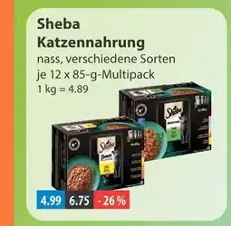 V Markt Sheba katzennahrung Angebot