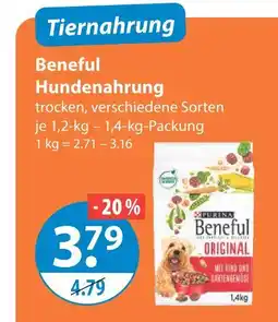 V Markt Purina beneful hundenahrung Angebot