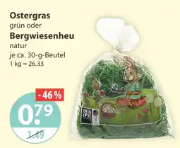 V Markt Ostergras grün Angebot