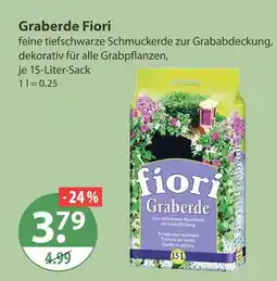 V Markt Fiori graberde Angebot