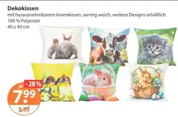 V Markt Dekokissen Angebot