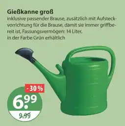 V Markt Gießkanne groß Angebot