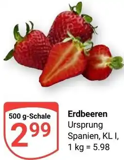 Globus Erdbeeren Angebot