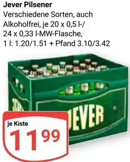 Globus Jever Pilsener Angebot