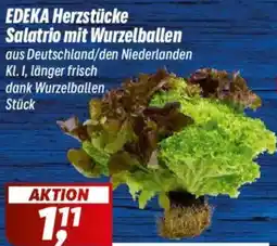 Simmel EDEKA Herzstücke Salatrio mit Wurzelballen Angebot