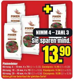 B1 Discount Baumarkt Piniendekor Angebot