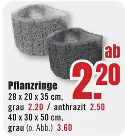 B1 Discount Baumarkt Pflanzringe Angebot