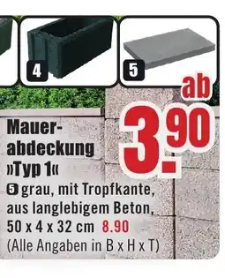 B1 Discount Baumarkt Mauer- abdeckung »>Typ 1<< Angebot