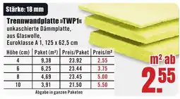 B1 Discount Baumarkt Trennwandplatte >>TWP1<< Angebot