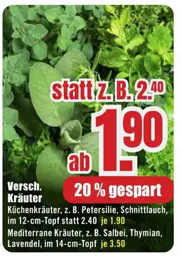 B1 Discount Baumarkt Versch. Kräuter Angebot
