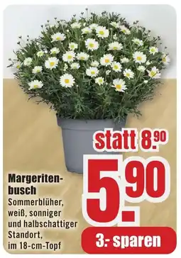 B1 Discount Baumarkt Margeritenbusch Angebot