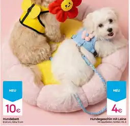 PEPCO Hundebett Angebot