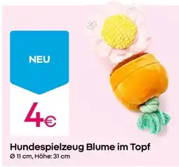 PEPCO Hundespielzeug Blume im Topf Angebot