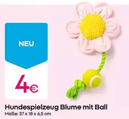 PEPCO Hundespielzeug Blume mit Ball Angebot