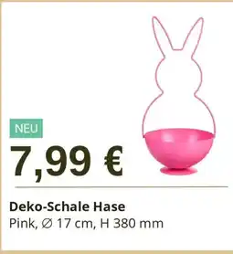 Depot Deko-Schale Hase Angebot