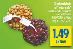 diska Steckzwiebeln Angebot