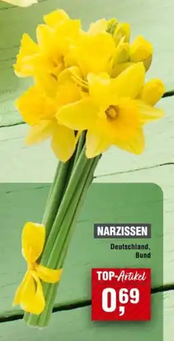 Handelshof NARZISSEN Angebot