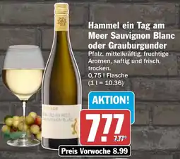 AEZ Hammel ein Tag am Meer Sauvignon Blanc oder Grauburgunder Angebot