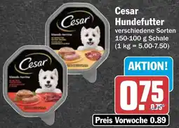 AEZ Cesar Hundefutter Angebot