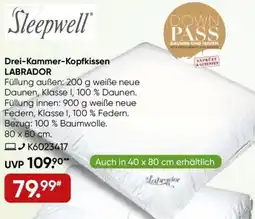 Galeria Sleepwell Drei-Kammer-Kopfkissen LABRADOR Angebot