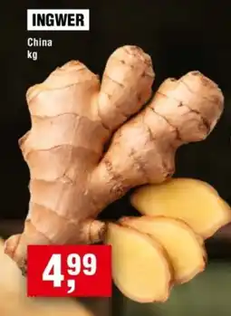 Handelshof INGWER Angebot