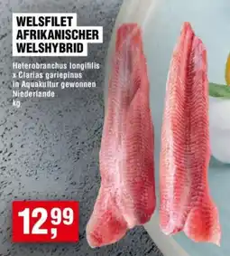 Handelshof WELSFILET AFRIKANISCHER WELSHYBRID Angebot