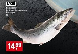 Handelshof LACHS Angebot