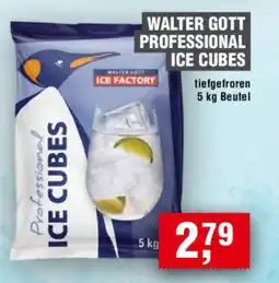 Handelshof WALTER GOTT PROFESSIONAL ICE CUBES Angebot