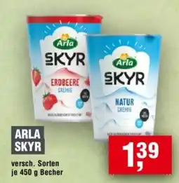 Handelshof ARLA SKYR Angebot