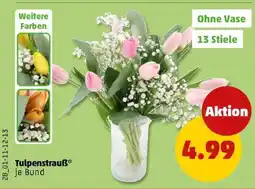 PENNY Tulpenstrauß Angebot