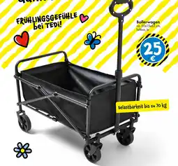 TEDi Bollerwagen Angebot