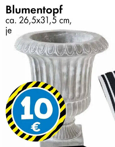 Blumentopf Angebot bei TEDi