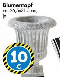 TEDi Blumentopf Angebot