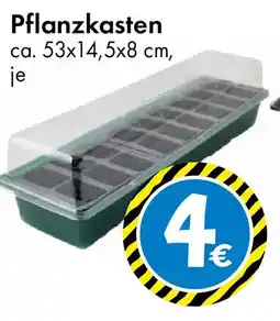 TEDi Pflanzkasten Angebot