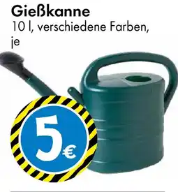 TEDi Gießkanne Angebot