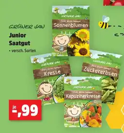 Thomas Philipps GRÜNER JAN Junior Saatgut Angebot