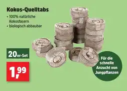Thomas Philipps Kokos-Quelltabs 20er-Set Angebot