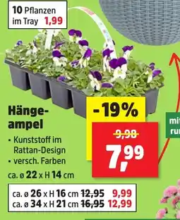 Thomas Philipps Hänge ampel Angebot