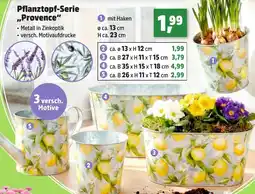 Thomas Philipps Pflanztopf-Serie ,,Provence" Angebot