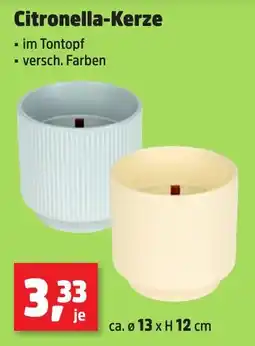 Thomas Philipps Citronella-Kerze Angebot