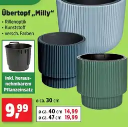 Thomas Philipps Übertopf,,Milly" Angebot