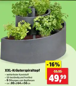Thomas Philipps XXL-Kräuterspiraltopf Angebot