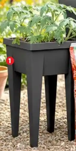 Thomas Philipps Hochbeet Angebot